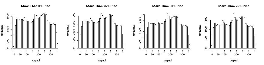 pine aspect