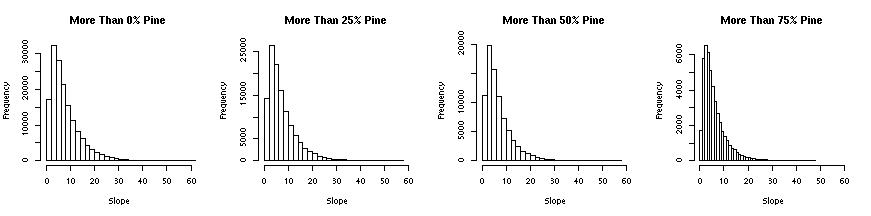 pine slope
